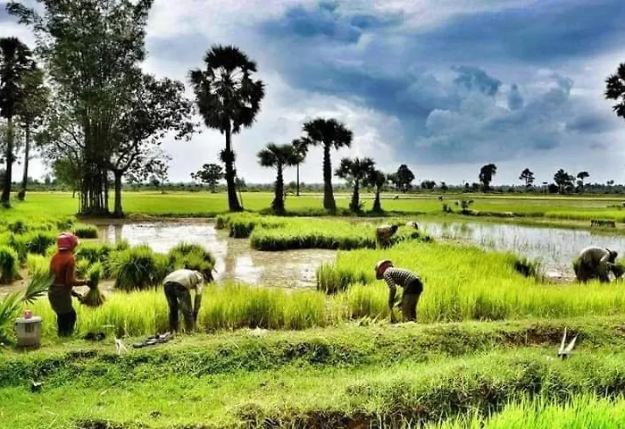 Melody Boutique 4* Siem Reap
